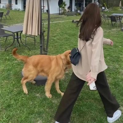 我们爱企鹅